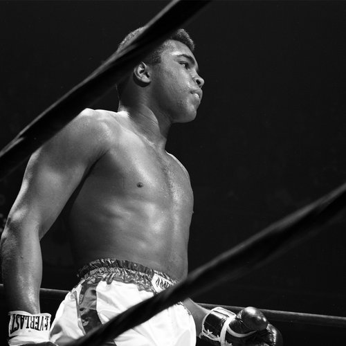 Muhammad Ali won 56 of the 61 matches he partook in including his fight 56 years ago versus Zora Folley.

📸: @LeiferNeil 

#MuhammadAli #Icon #Boxing #Fight #Champion #NeilLeifer #ZoraFolley
