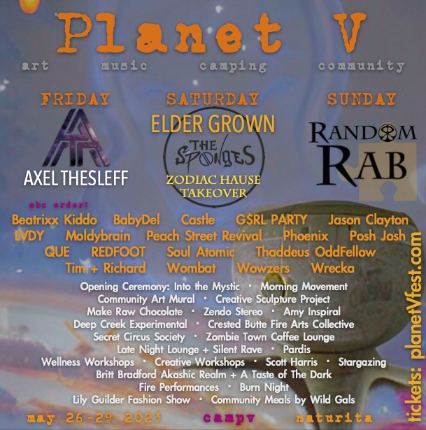 Festive Owl tweet media