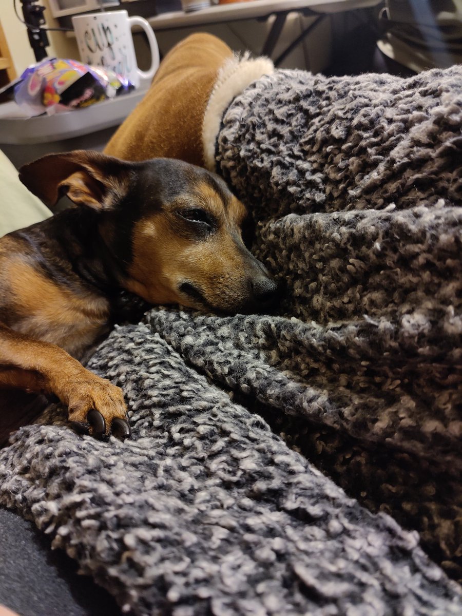 Gus_DiceChaos's tweet photo. A day in the life of a magical supply shop:
Bernie and Laney's making dice, I'm here sharing stories, and our furry friend is keeping watch. Nothing beats a cozy afternoon with good company. 🐶🎲🧙♂️ #DnD #MagicalShop #DiceMaking https://t.co/U6dkZcQdfe
