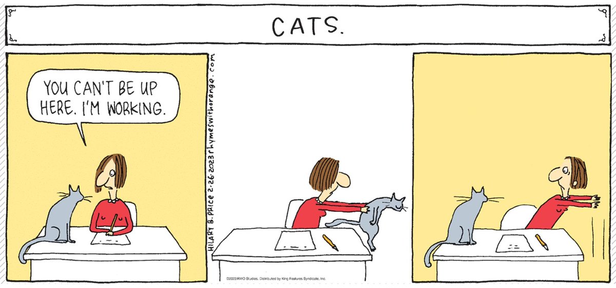 Accurate #cats