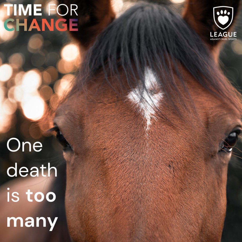 dominic dyer tweet media