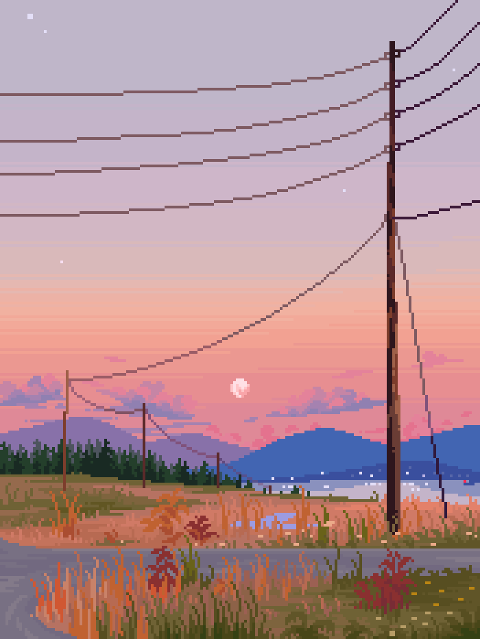 16pxl's tweet photo. long walks during golden hour ✨🌿 https://t.co/1fdhAMKl2G