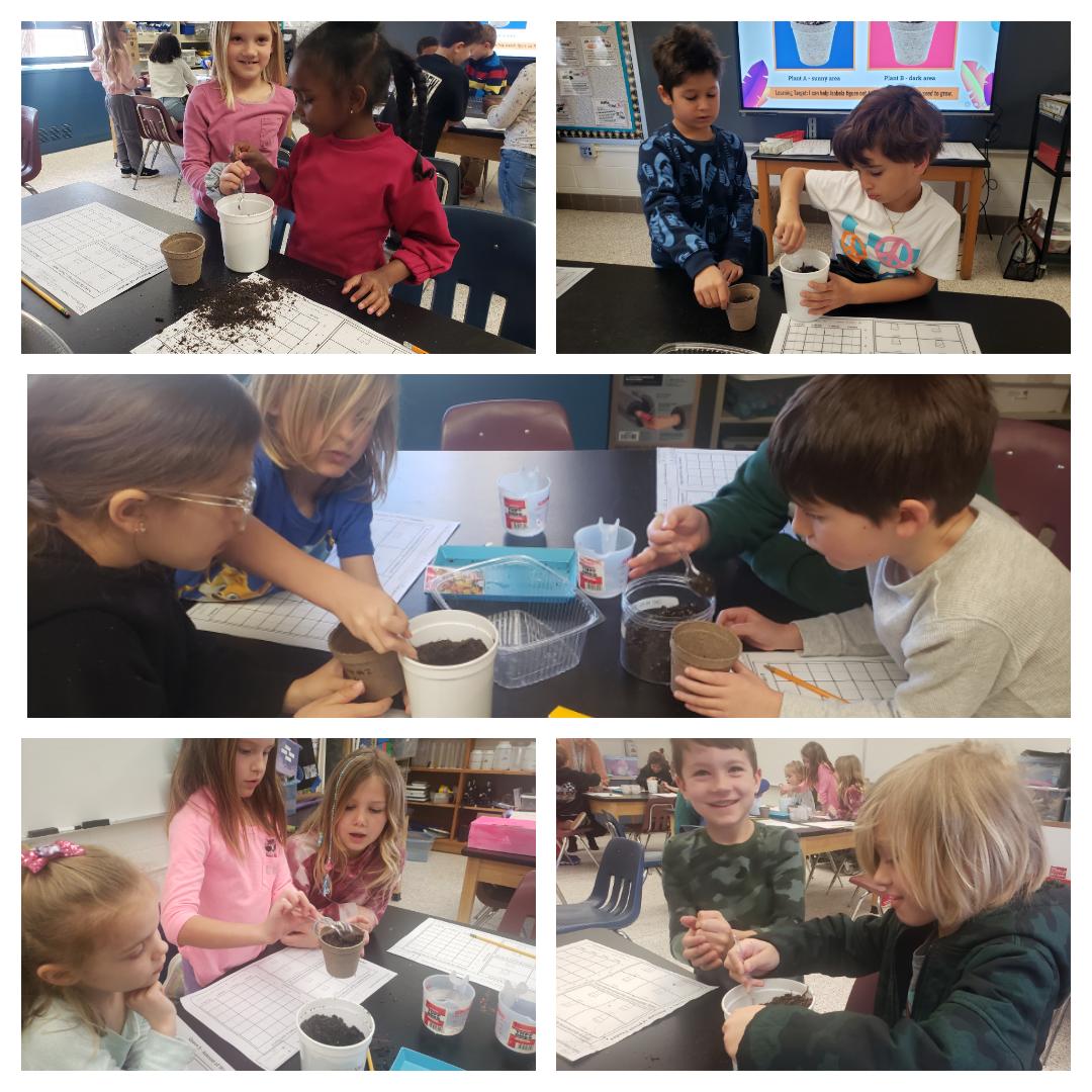 Cynthia Housianitis Johnston (@rmes_gifted) on Twitter photo To help Encanto's Isabela learn plant needs for survival, <a href="/RedMillES/">Red Mill ES</a> 1st graders are conducting four scientific investigations. 👀, 📏, and 📊 up next! @RMESPrincipal @RedMill_AP <a href="/VBGifted/">VBCPS Office of Gifted Programs</a> <a href="/FlinnNancye/">Nancye Flinn</a> To help Encanto's Isabela learn plant needs for survival, <a href="/RedMillES/">Red Mill ES</a> 1st graders are conducting four scientific investigations. 👀, 📏, and 📊 up next! @RMESPrincipal @RedMill_AP <a href="/VBGifted/">VBCPS Office of Gifted Programs</a> <a href="/FlinnNancye/">Nancye Flinn</a>