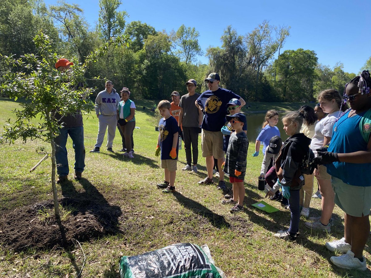 onetreeplanted tweet picture