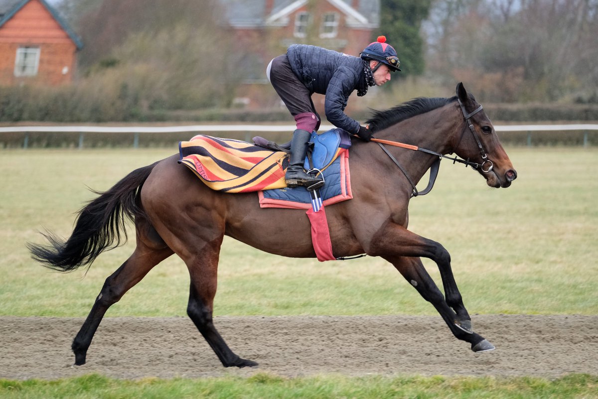 SimcockRacing's tweet photo. SCARBOROUGH CASTLE ⭐️WINS⭐️(6yo g Fastnet Rock AUS - Charlotte O Fraise IRE) the 1m4f Handicap @Southwell_Races under @CallumSheppy for A M PICKERING & @SimcockRacing #AlBasti #AlBastiEquiworldDubai https://t.co/Mfa5WbLseh