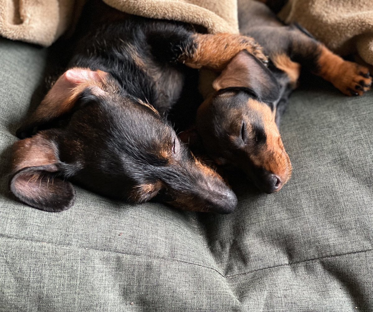 gryssebos's tweet photo. mother &amp; child https://t.co/6DIBlEPt9C