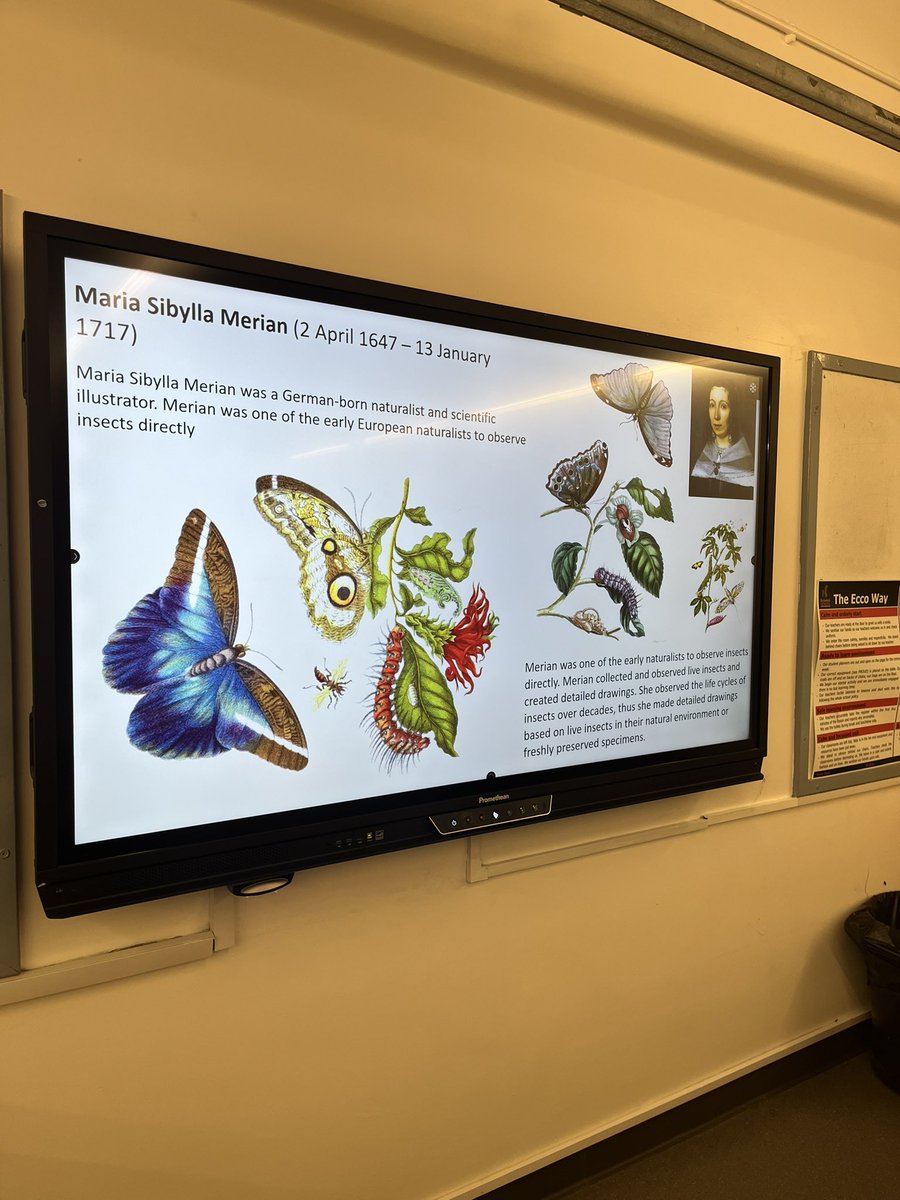 EccoArtPhotoDep's tweet photo. To co-inside with #britishscienceweek we have been looking at a Scientific illustrator with Year 7! 🐞🐝🪰🐛🪲🪳@OfficialEcco https://t.co/VerkTg9QoJ