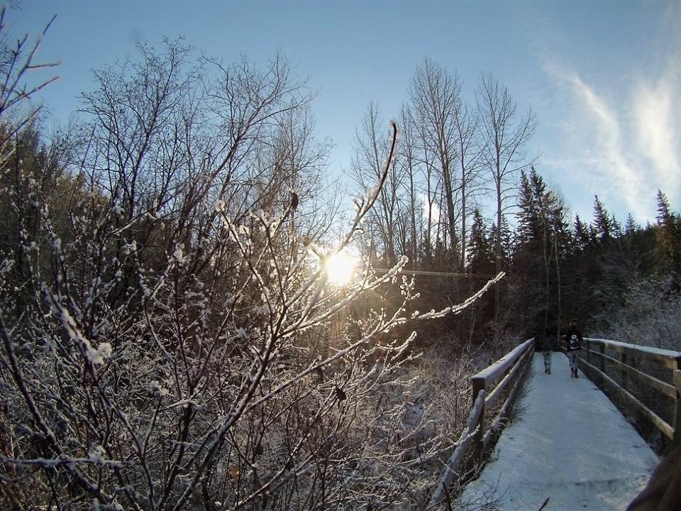 TUESDAY TRAILS - no headlamps tonight!
Runners and Hikers join us at Alfred Savage Centre for trails at social or adventure paces. Pick your pack.

6:30 pm - prompt start inside building

#edmontonrivervalley
#yegtrails #yegrun #yeghike #whitemudcreek #edmontontrailcommunity