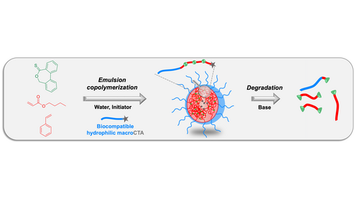 angew_chem's tweet photo. RAFT-mediated emulsion polymerization-induced self-assembly for the synthesis of core-degradable waterborne particles (DAgosto and Lansalot) @cp2m_lab @DAgostoFranck @LansalotMuriel https://t.co/coEKdzrm2T https://t.co/A3v1Nuv7TS
