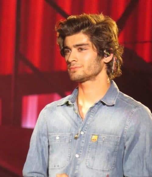 zayn as flynn rider. that’s the tweet.