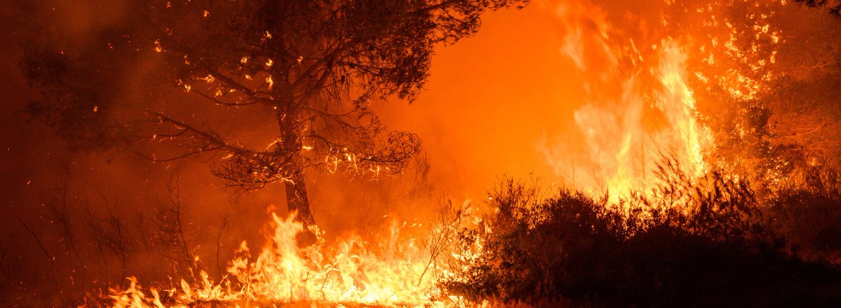 ZackSabreTime's tweet image. " Il faut brûler la corde "

Gilles : 

#KohLanta