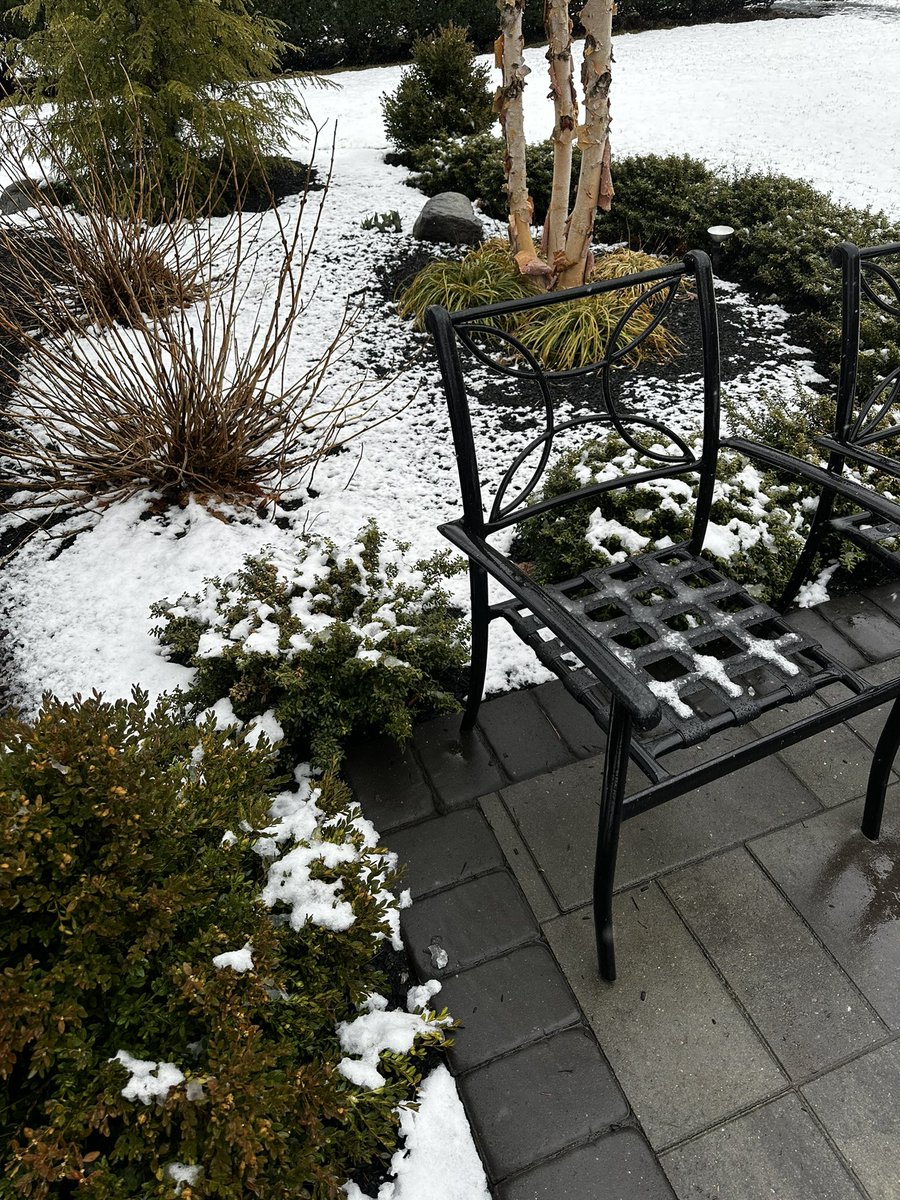 Matt Dailida tweet media