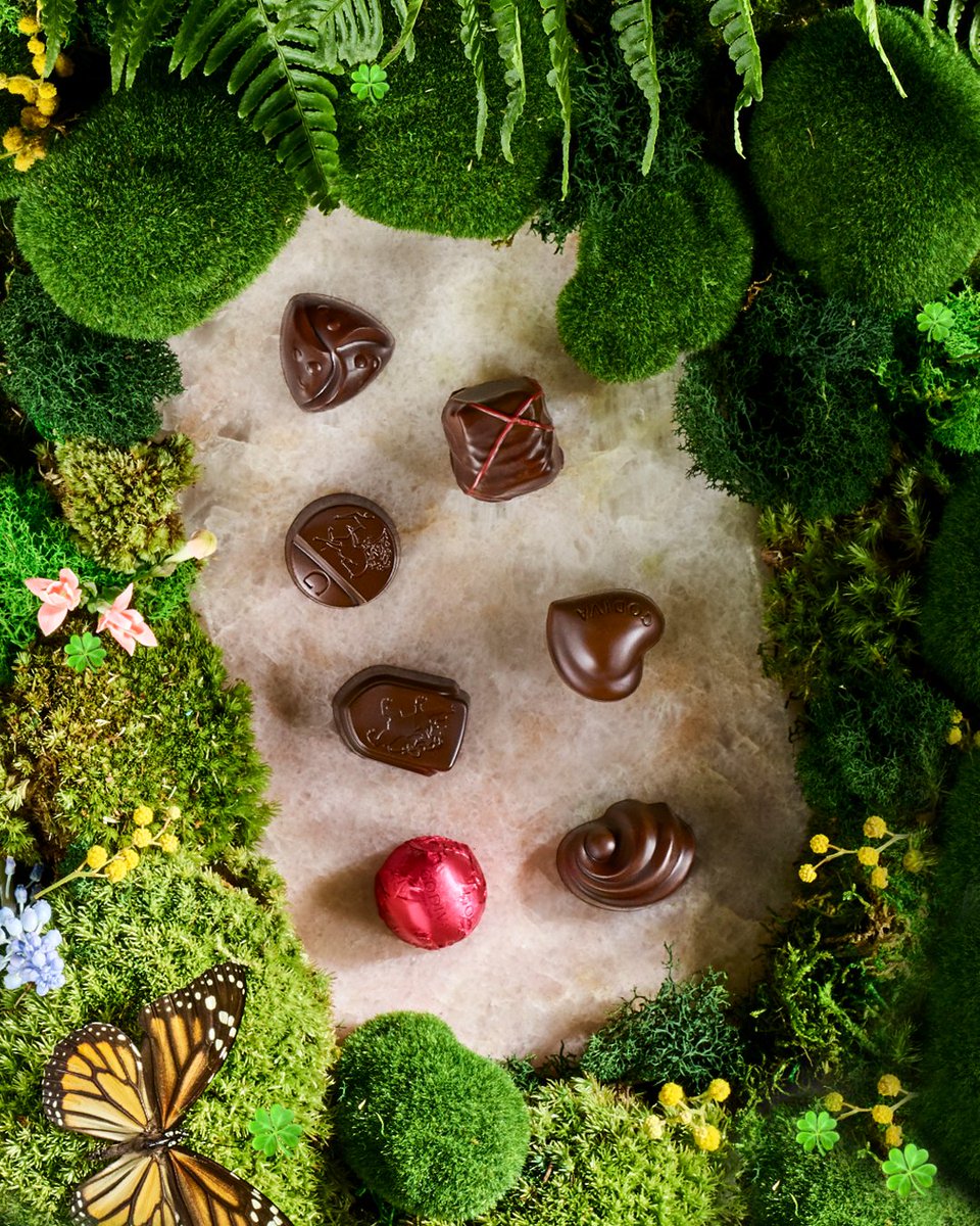 Around here, lucky days involve chocolate. 🍀 Comment how many four-leaf clovers are hidden in this image for a chance to win GODIVA truffles!