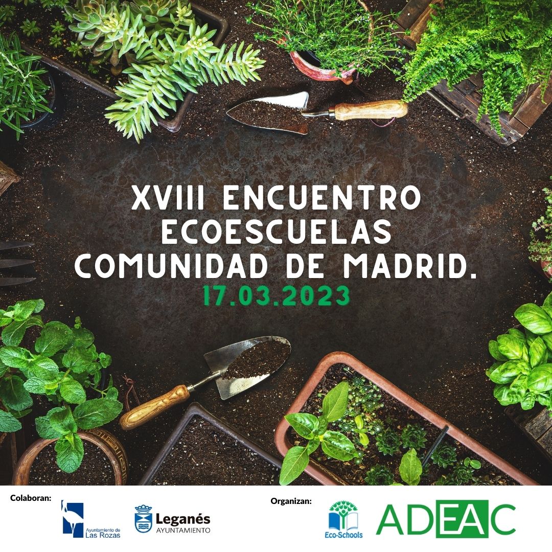 Ecoescuelas España tweet media