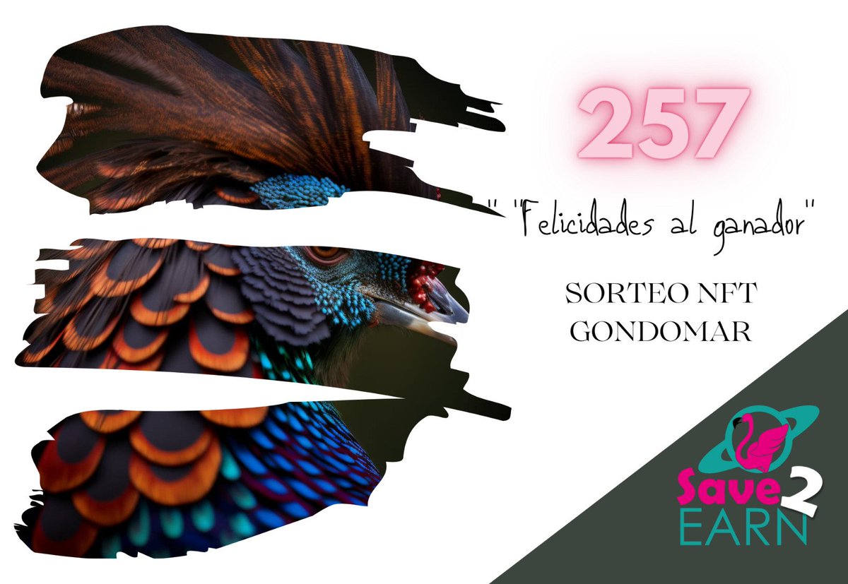 Enhorabuena al ganador del segundo NFT sorteaso en nuestra ruta por la biodiversidad y las ciencias.
En este caso pertenece al sorteo de Gondomar y el congreso internacional de @aviornis.iberica

#porunmundodetodos #faunaverso #metaverso #conunsimplegesto
