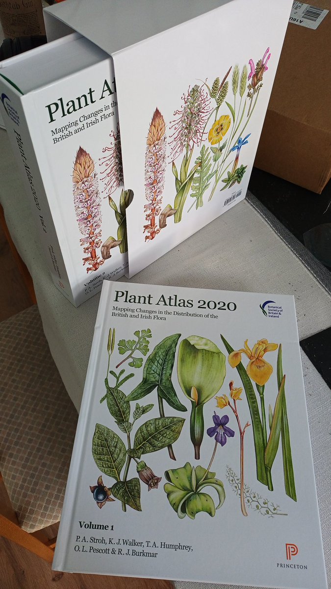 WildflowerUrban's tweet photo. They've arrived! Going to have to rearrange the bookcase to fit them in! 📚
#PlantAtlas2020 @BSBIbotany https://t.co/SvWbFAvyJ2