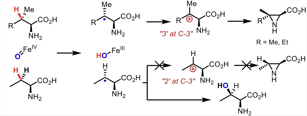 Enzyme Chemistry tweet media