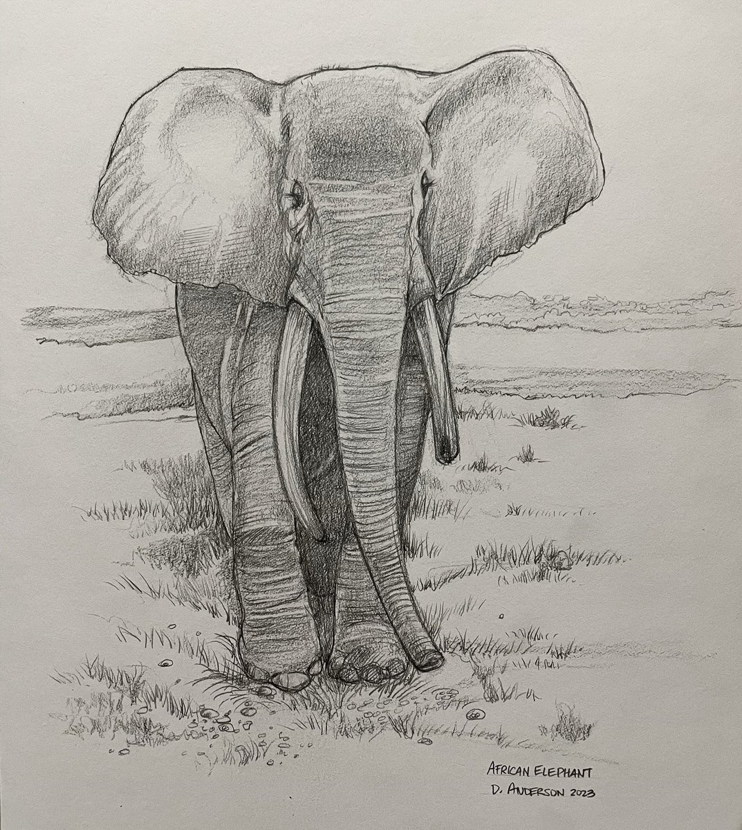 African elephant. 

#africanelephant #elephant #elephantart #wildlifeart #zooart #animalart #wildlifeconservation #nature #wildlife #sketch #drawing #drawingsketch #sketchdaily #parabolastar #michiganartist #michiana