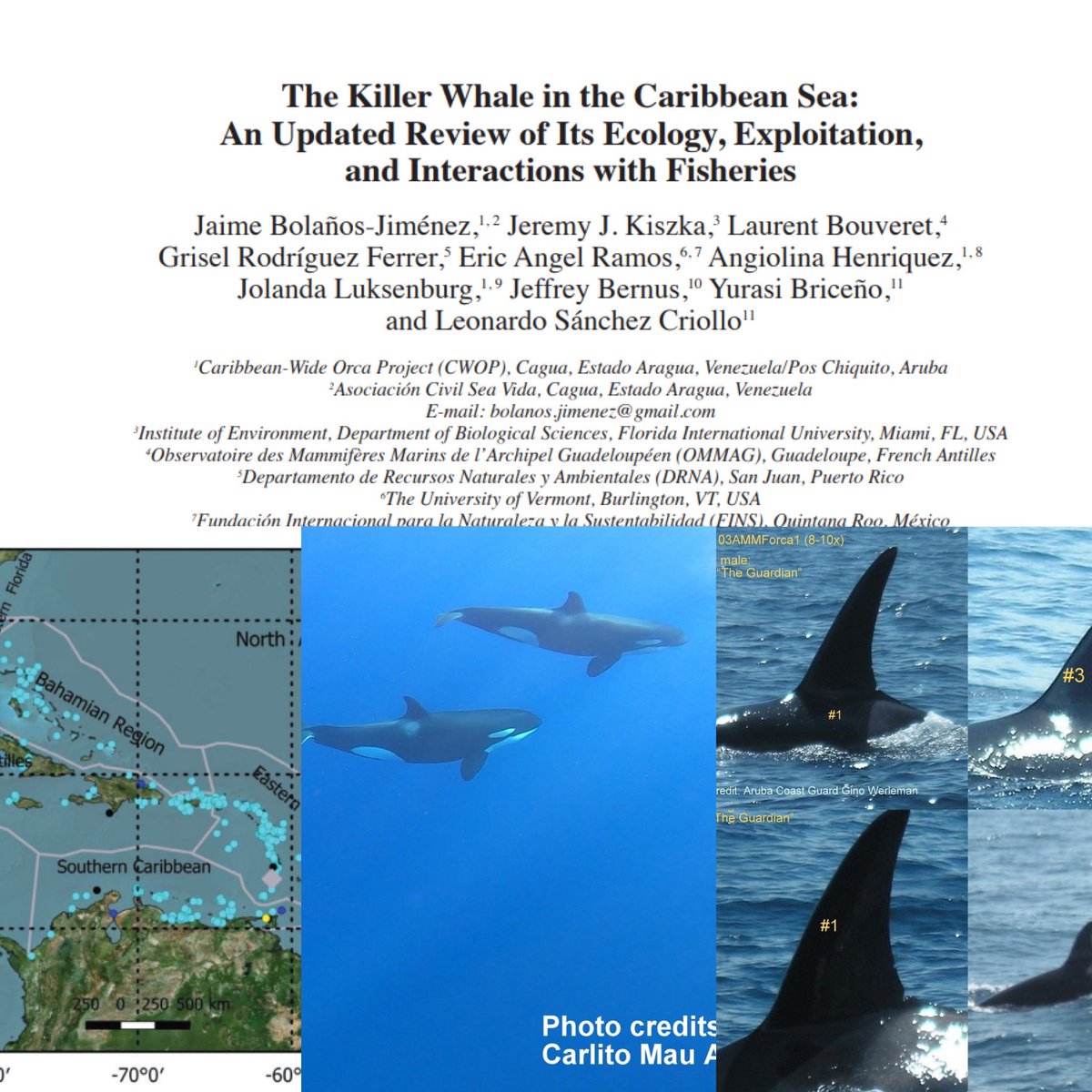 Eric Angel Ramos, PhD tweet media