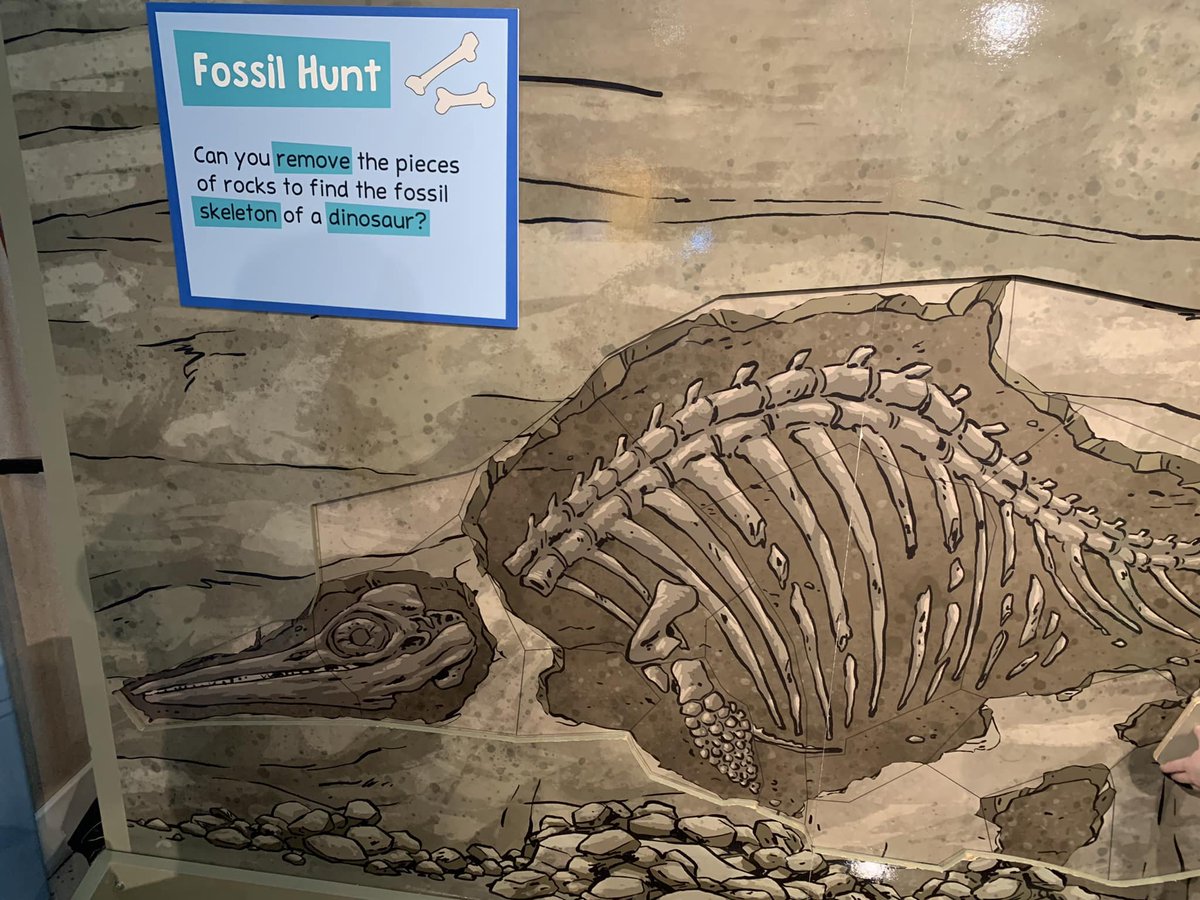 At the Magic House in STL with my daughter and came across this little puzzle.  Cruel how they set up this display with a question that can't be answered in the affirmative, since there is no dinosaur on it.