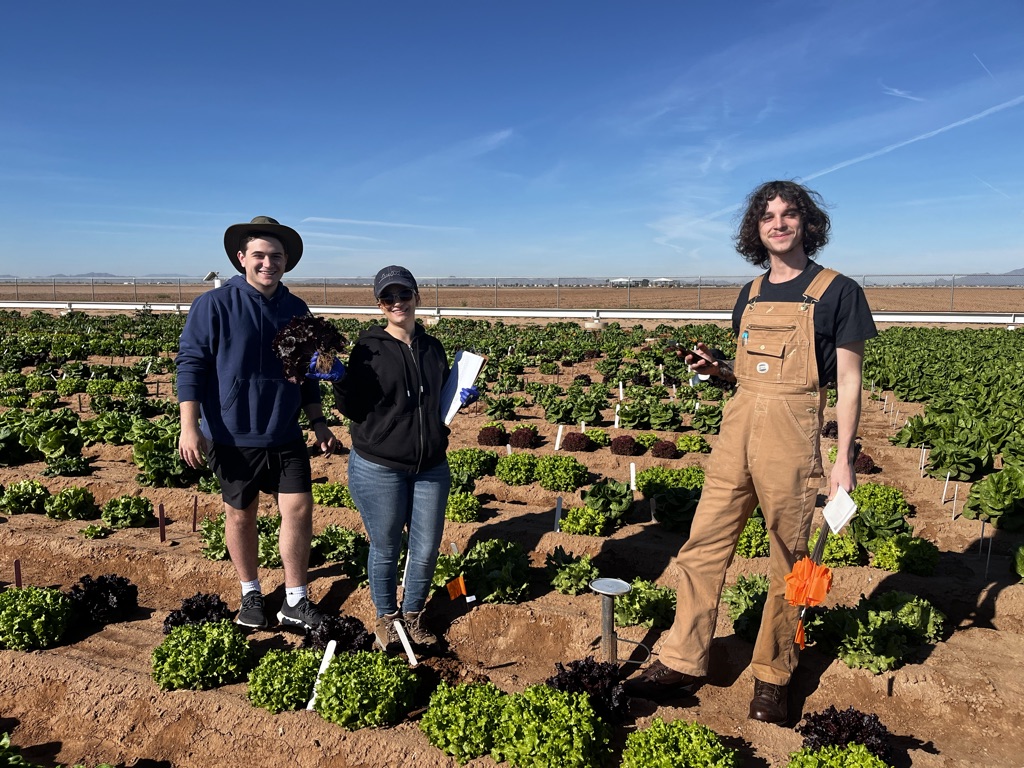 BRIDGES NRT (@uazbridges) on Twitter photo Trainee Tuesday! BRIDGES fellow Neda harvests lettuce in the field, with undergrad trainees Emmett & Ethan in a field study to scale from genes to ecosystems-connecting crop microbiomes to crop phenotypes' with the labs of Duke Pauli & Betsy Arnold @betsyarizona <a href="/UAZPlantScience/">Plant Sciences</a> Trainee Tuesday! BRIDGES fellow Neda harvests lettuce in the field, with undergrad trainees Emmett & Ethan in a field study to scale from genes to ecosystems-connecting crop microbiomes to crop phenotypes' with the labs of Duke Pauli & Betsy Arnold @betsyarizona <a href="/UAZPlantScience/">Plant Sciences</a>