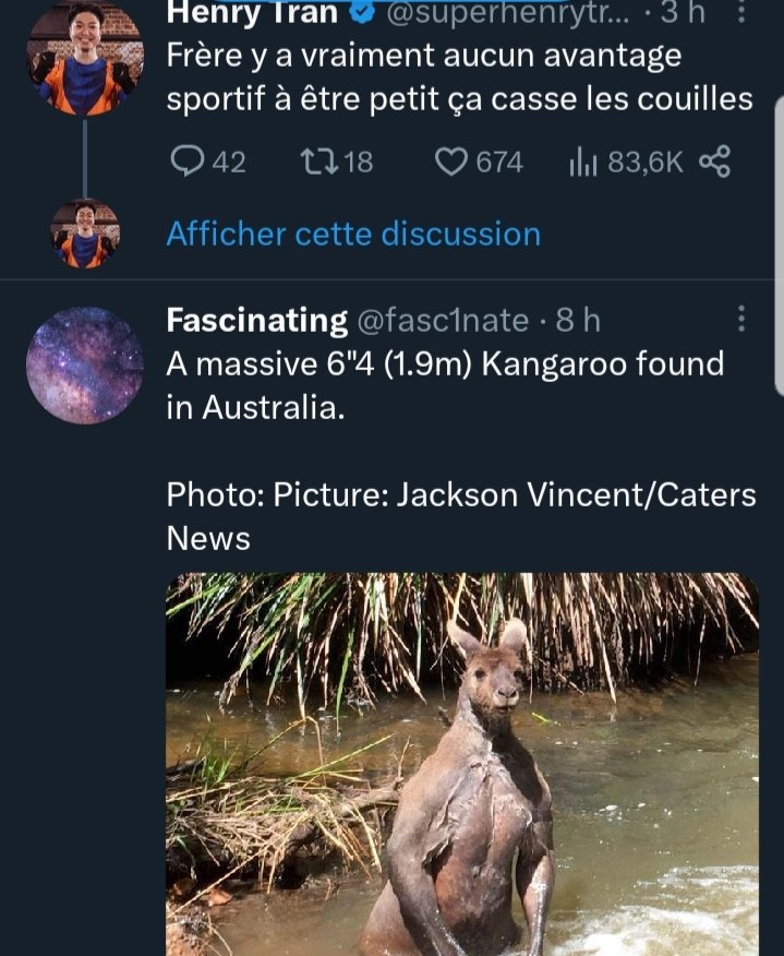 ­Thðmas ♪ tweet media