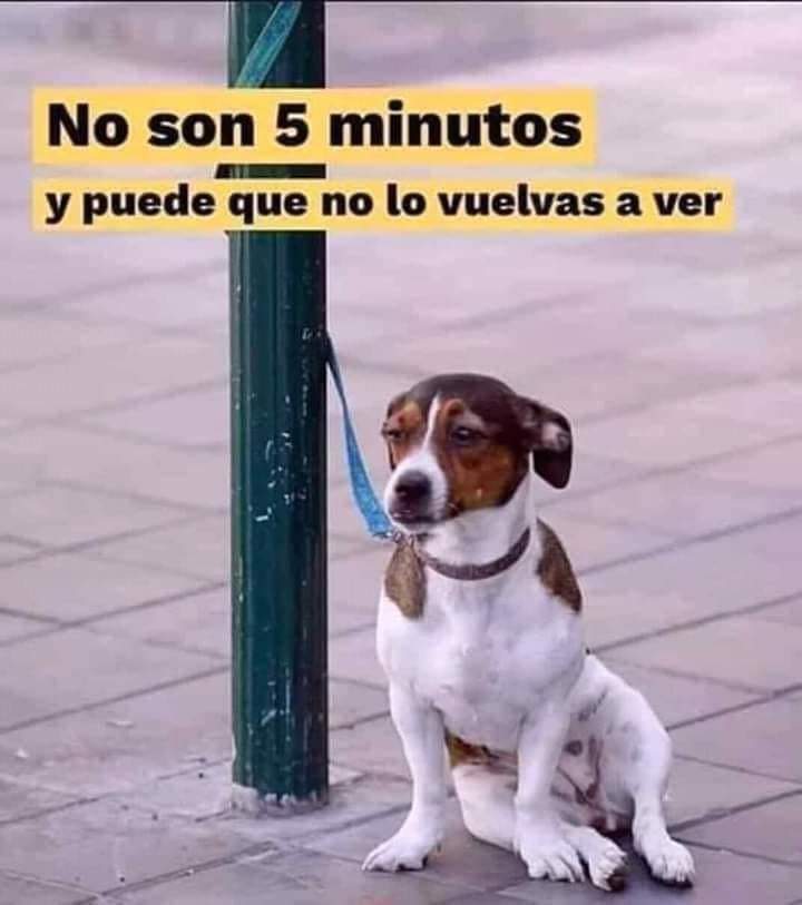 amaregar's tweet photo. No dejes atado  a tu amigo en la puerta del supermercado ,no es seguro , no es correcto,no es agradable ,es peligroso ,puede ser que cuando regreses no lo vuelvas a ver 
La vida te da sorpresas y malos ratos evitalo y déjale en casa https://t.co/WeI2mhFBmk