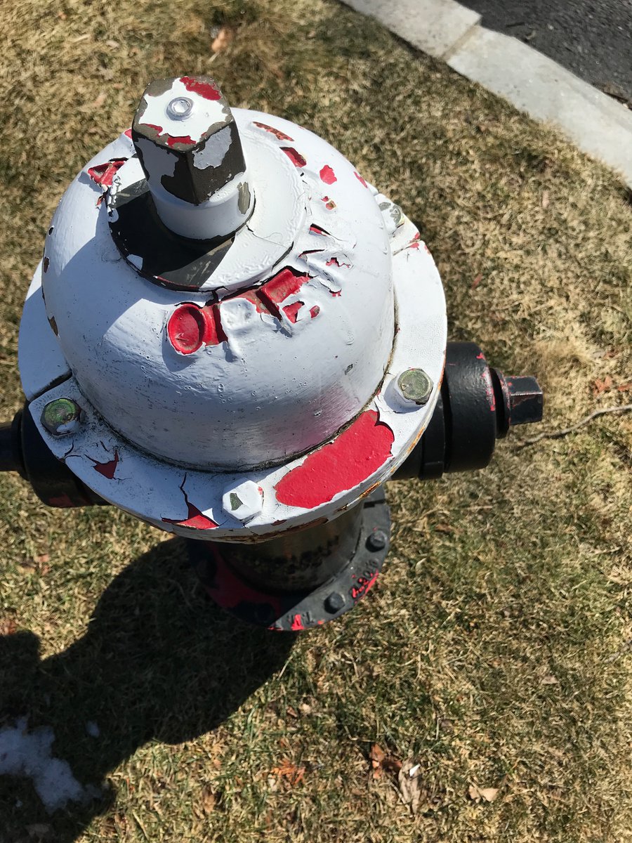lexfirehydrant tweet picture
