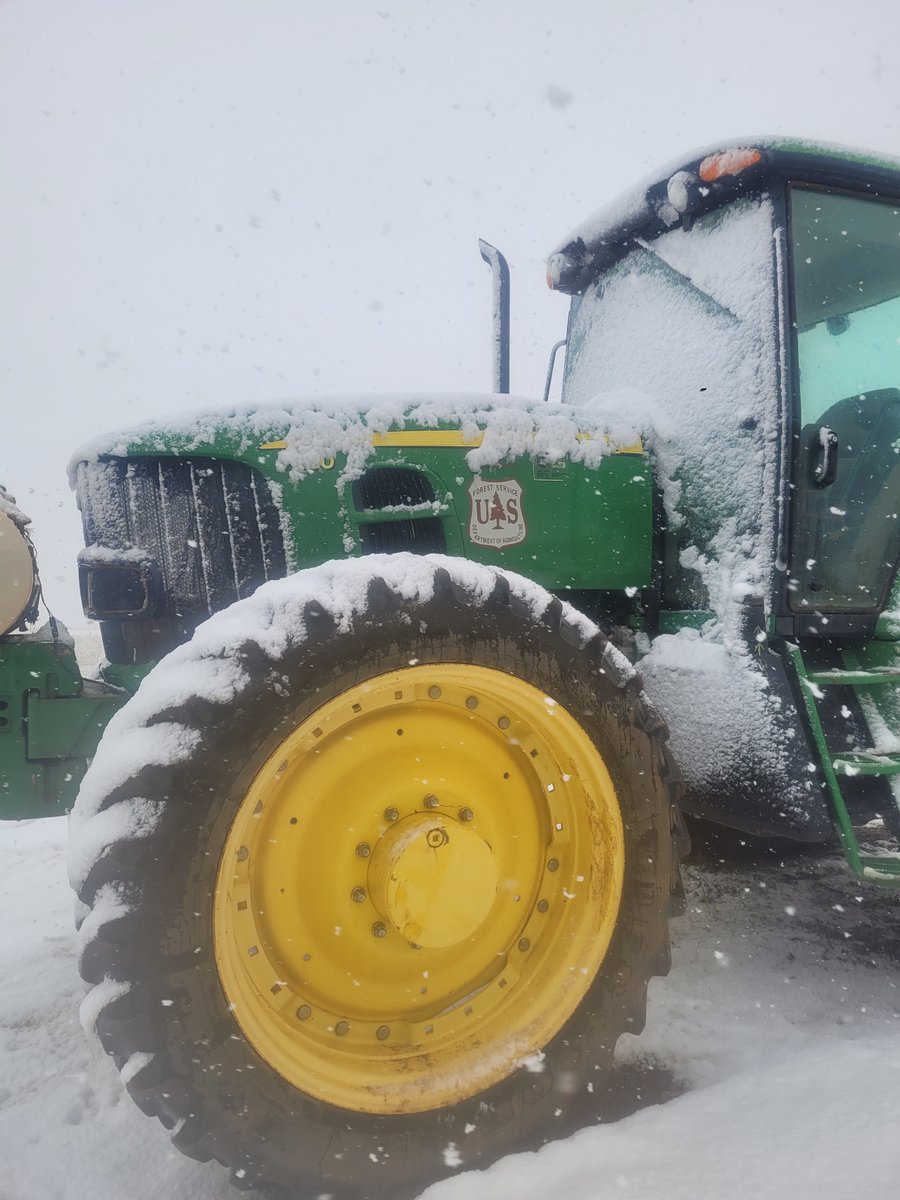 American Forests on Twitter "RT DyerDialogue "Bareroot seedlings are