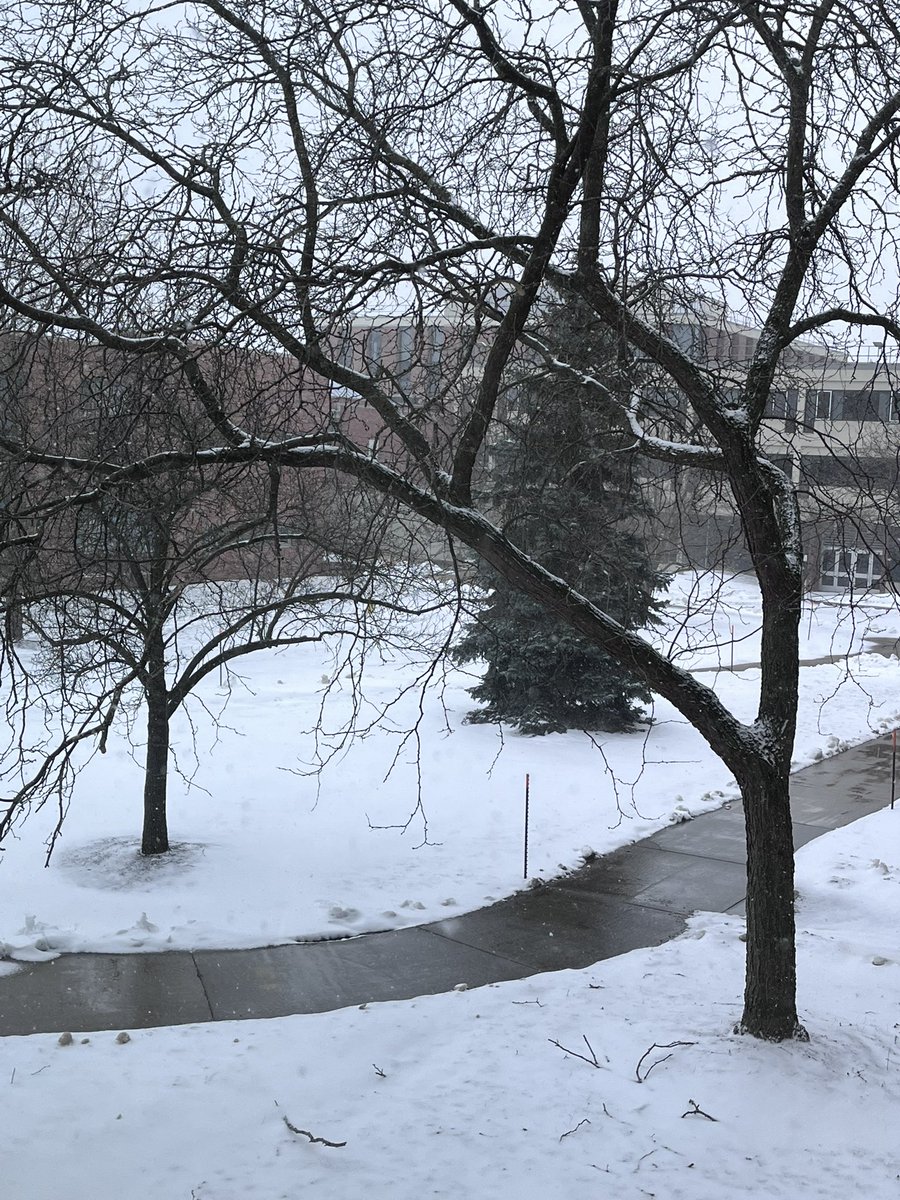 IBenz22's tweet image. Looking for a little island time 🏝️☀️😎… instead of this. What about you?!
#SummerVibes #enoughwinter