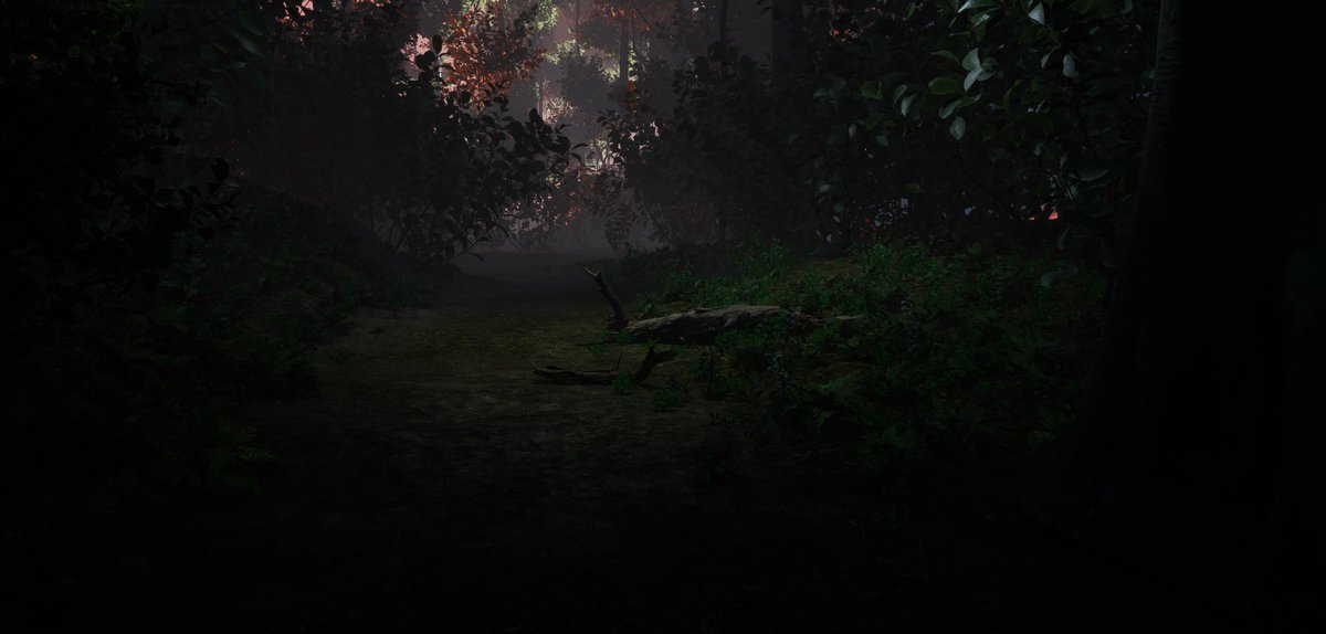 rishirajsinghs's tweet image. Unreal engine forest inspired from photos by dear friend Satyaki sarkar 
#UnrealEngine #unreal5