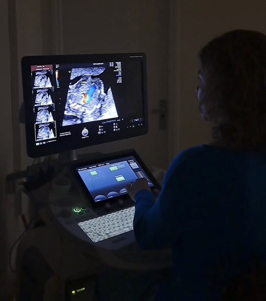 Fetal Medicine Barcelona tweet media