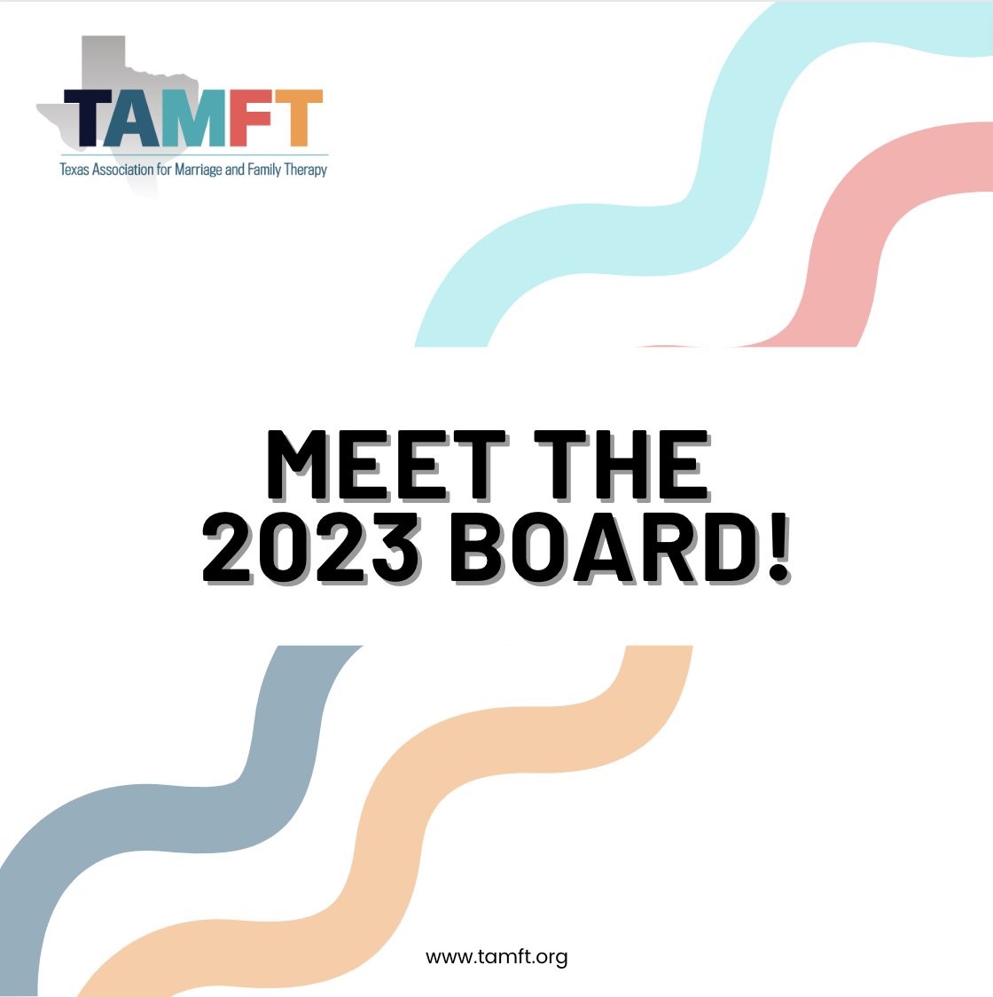 TAMFTinfo's tweet photo. ICYMI: We installed this year's TAMFT board members at our most recent conference in Austin! We'd like to thank our outgoing board members for their service: and welcome our new members! Learn more about our current board members here: https://t.co/6gyCMdijMu https://t.co/PlvQo4XR5M