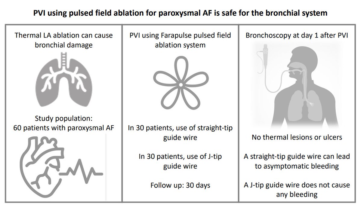 Thermal ablation can cause bronchial damage. PFA is a non-thermal ablation method and does not cause bronchial lesions. A straight, but not a J-tip guide wire can cause bleeding #AHAJournals #Epeeps <a href="/Elektro_Doc/">Dennis Höwel</a> ahajrnls.org/3l9oRVV