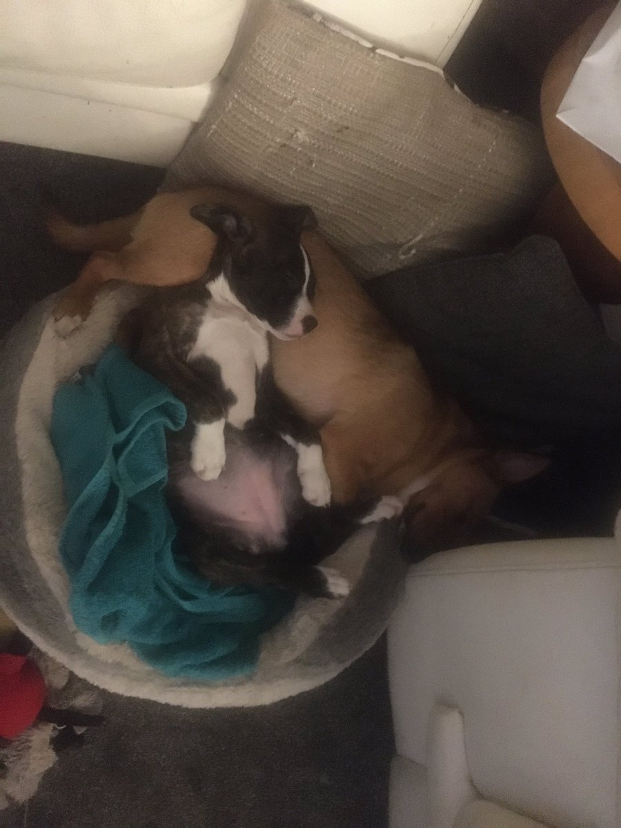 Siobhan Lindsay (@siobhanlindsa14) on Twitter photo 