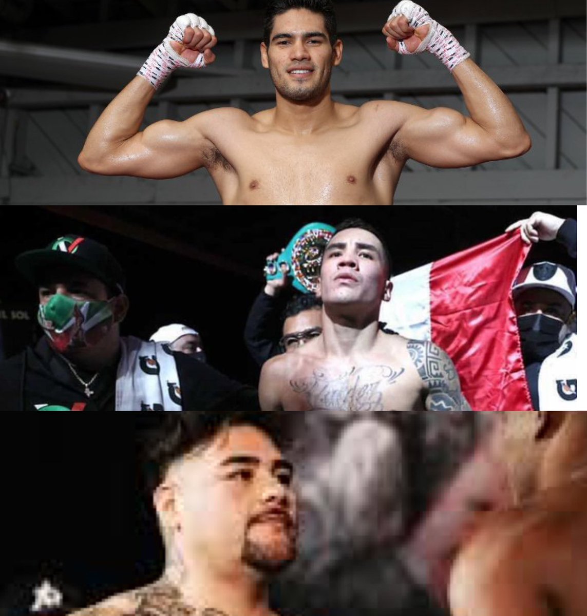 🅱️ on Twitter "Without naming Canelo.. What Mexican boxer will be the