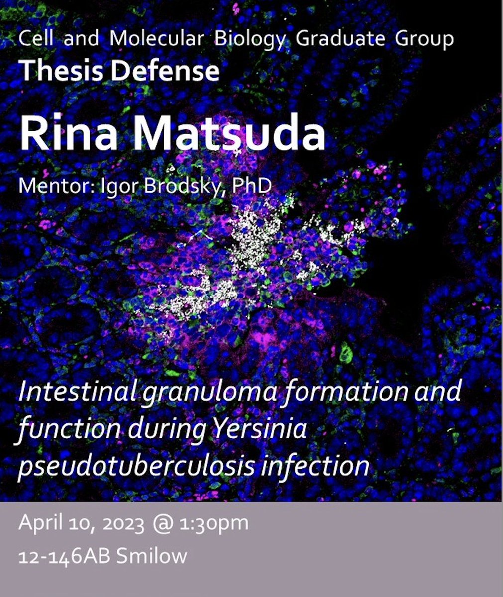 It’s official: I'm defending my PhD thesis on April 10th at 1:30pm! It's been a long and exciting journey, looking forward to sharing my work and celebrating with you! The defense will be hybrid format, please message me for the link if you’d like to attend virtually.