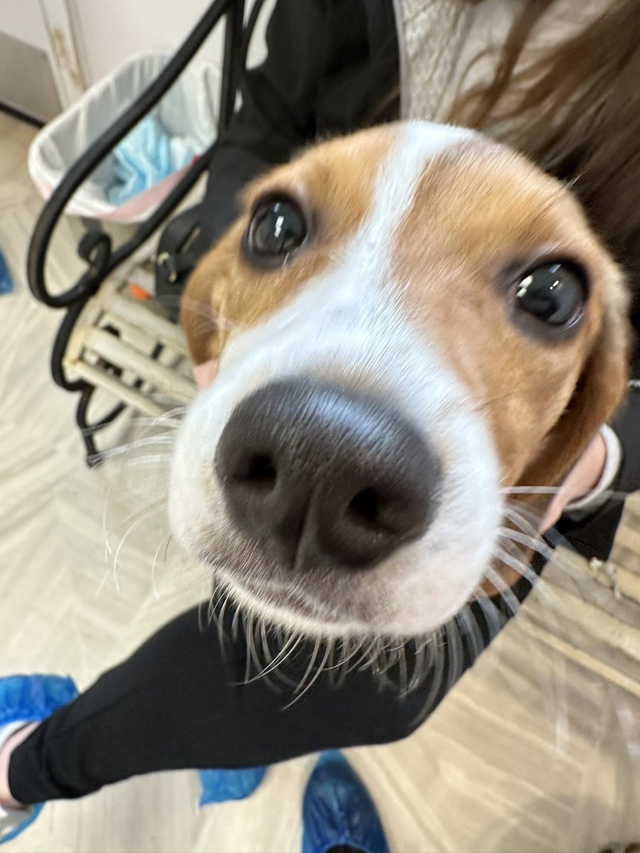 A little girl who needs love. ❤️