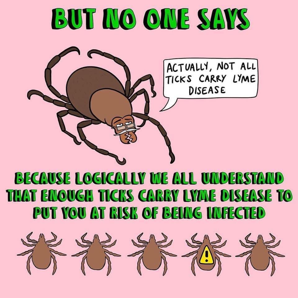 THE lusty argonian maid tweet media