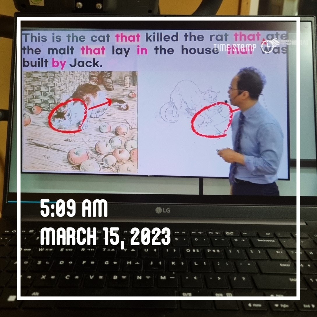 또바기개나리 tweet media