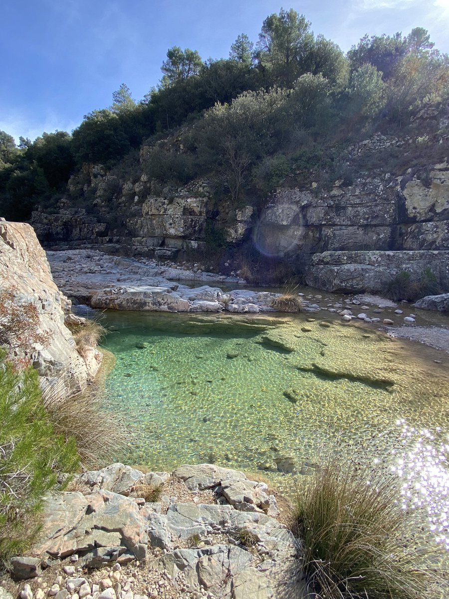 gerson_garrosa's tweet photo. Seguimos sumando experiencias de #senderismo con el grupo de #AFMN en este fantástico territorio ⛰️
Hoy ha tocado visita al pueblo de Siurana y su espectacular entorno, en la sierra de Prades.
#EusesCAFE @EUSES_Oficial #CAFYDE #AFMN #Siurana #MedioNatural #Montaña #Senderismo https://t.co/GCf8oNHRpr
