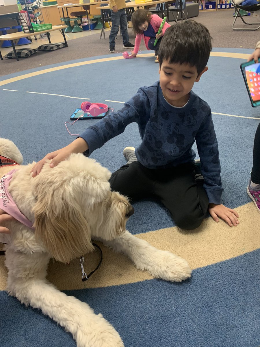 MECC_Counselor2's tweet photo. Today during #classroomcounselorvisits Gibson & I taught our #Kindergarteners how to peacefully problem solve. Step #1, stay calm! Gibson has mastered Step #1!!! #CometKids #MVPs #MostValuablePups @schatzj9 @MrsBly_MECC @MasonSchools https://t.co/tNkNbXMiQY