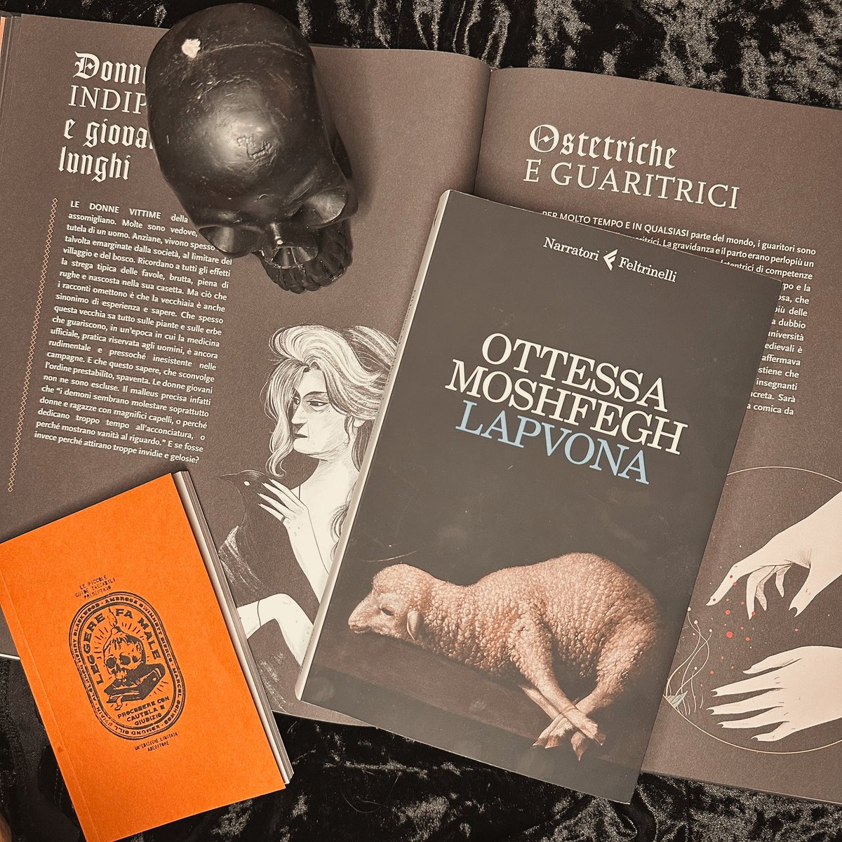 universinterior's tweet photo. esce oggi Lapvona di #OttessaMoshfegh edito @feltrinellied – che ringrazio per avermi dato la possibilità di leggerlo in anteprima 🫶🏼

trovi la recensione qui https://t.co/maXTsOd2k1  🫶🏼 https://t.co/Hha6Xahnpr