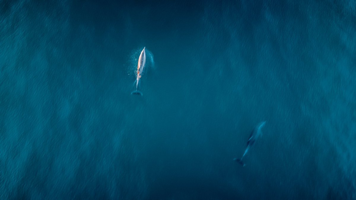 Birds Eye View | Now available on <a href="/exchgART/">Exchange Art</a>

4 Photos are still available! 

8 Sol Each

"Stranded" will be featured &amp; displayed at <a href="/NFT_NYC/">NFT.NYC</a>

A collection of 10 top-down aerial drone shots offers a unique perspective of the earth from above✈️

Link Below🔗👇