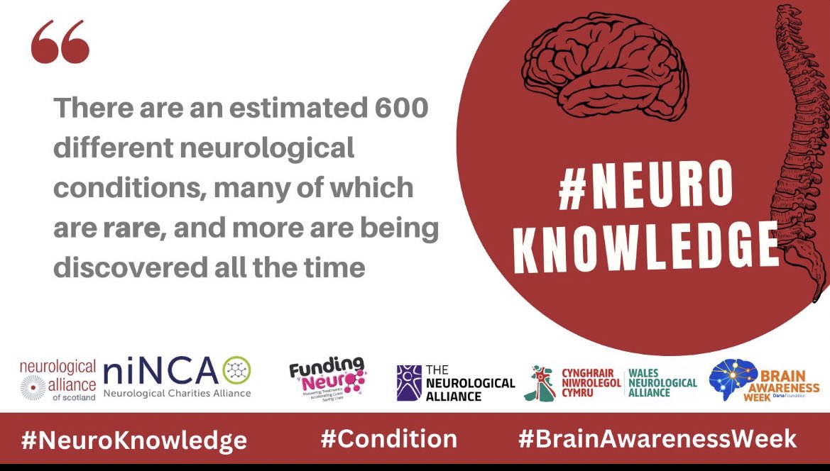 FundingNeuro's tweet image. Day 2 🧠 ❤️
#BrainAwarenessWeek
#NeuroKnowledge
