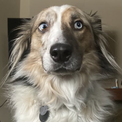 #NewProfilePic