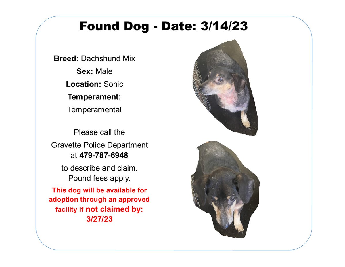This little guy was found near Sonic. If he is yours, please reach out to the GPD at 479-787-6948.