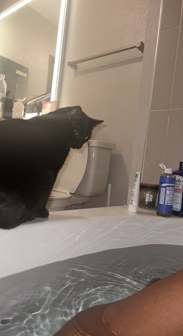 kujo the bathroom bully https://t.co/Ad3eSIWLaF<a href="/tag/happybirthdaynicki"class="tags"><span>#happybirthdaynicki</span></a>