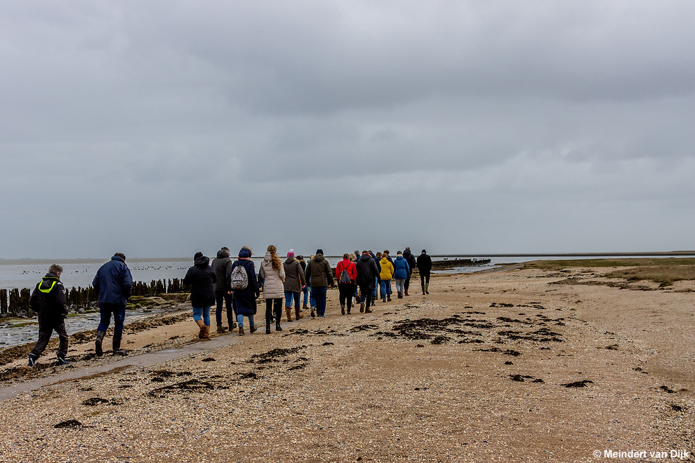 meindertvdijk's tweet photo. Sfeerfoto's van de excursie in de Peazemerlannen bij Paesens-Moddergat tijdens de eerste ambassadeursdag Waddenzee Werelderfgoed. 
#werelderfgoedwaddenzee #waddenzeewerelderfgoed #itfryskegea #peazemerlannen #waddenzee #wadden #Waddenkust #ambassadeursdag https://t.co/Mu1qRxz4qR