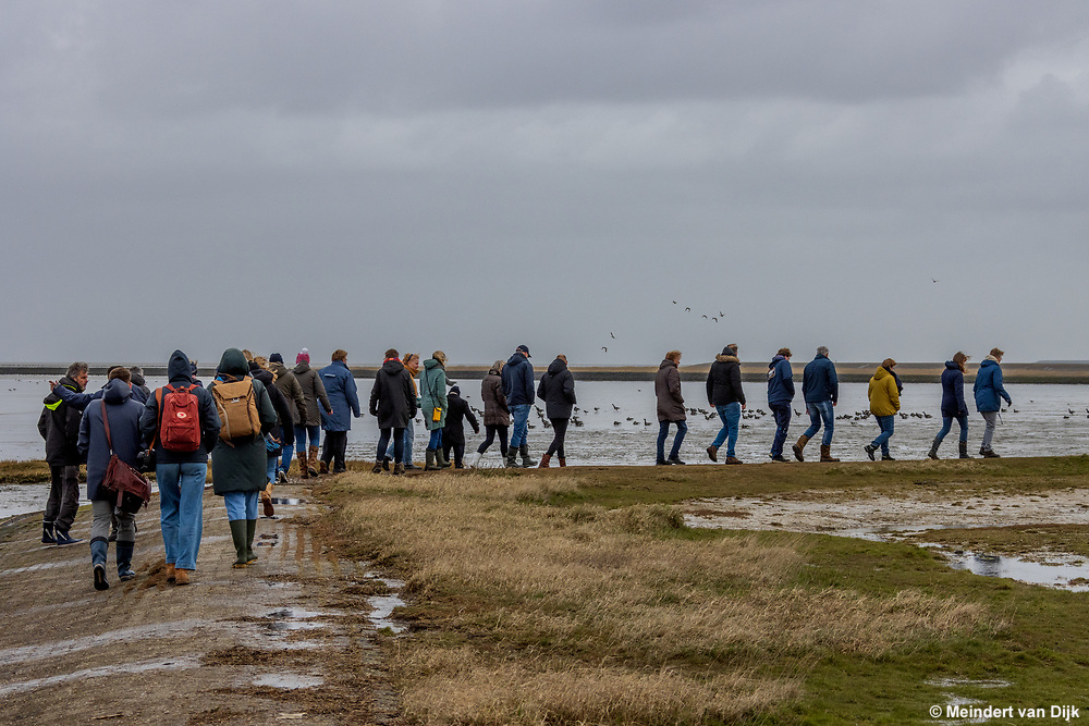 meindertvdijk's tweet photo. Sfeerfoto's van de excursie in de Peazemerlannen bij Paesens-Moddergat tijdens de eerste ambassadeursdag Waddenzee Werelderfgoed. 
#werelderfgoedwaddenzee #waddenzeewerelderfgoed #itfryskegea #peazemerlannen #waddenzee #wadden #Waddenkust #ambassadeursdag https://t.co/Mu1qRxz4qR